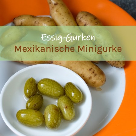 Essiggurke Mexikanische Minigurke