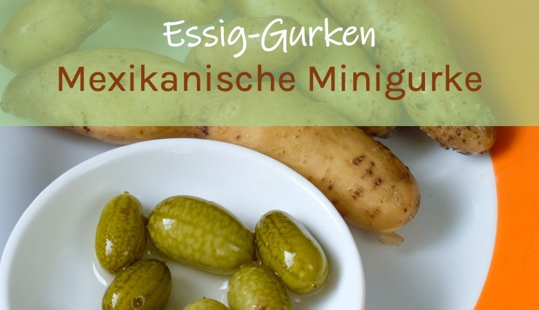 Essiggurke Mexikanische Minigurke