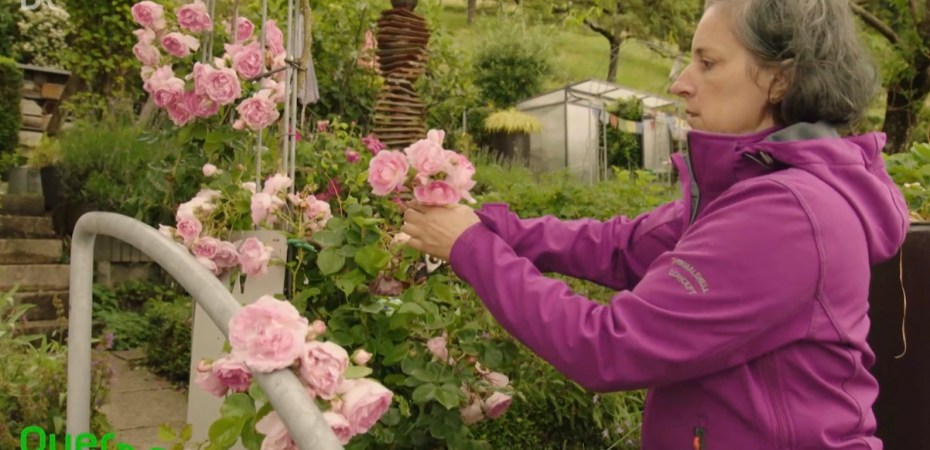 Pascale Garten in der Gartensendung Queerbeet