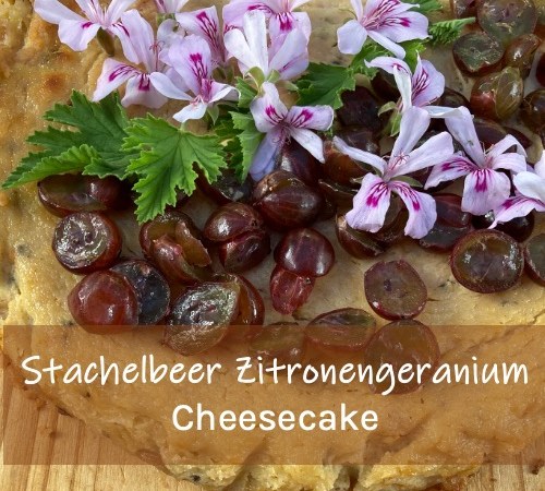 Stachelbeere Zitronengeranium Cheesecake